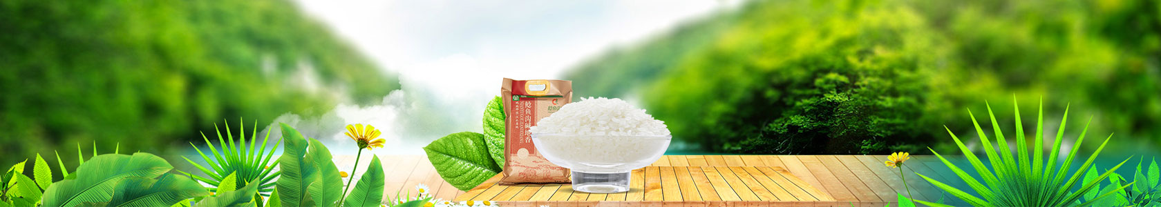 tp钱包网址